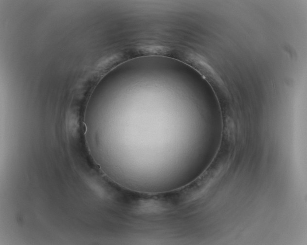 X0000115480259200911061223