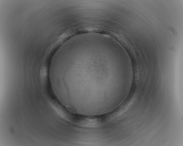 X0000115480260200911061223