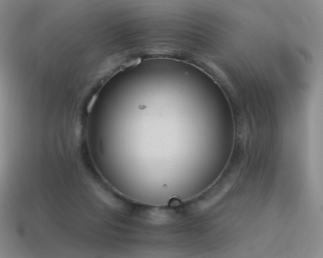 X0000115480261200911061223