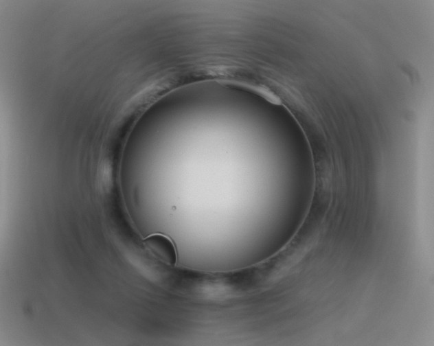 X0000115480262200911061223