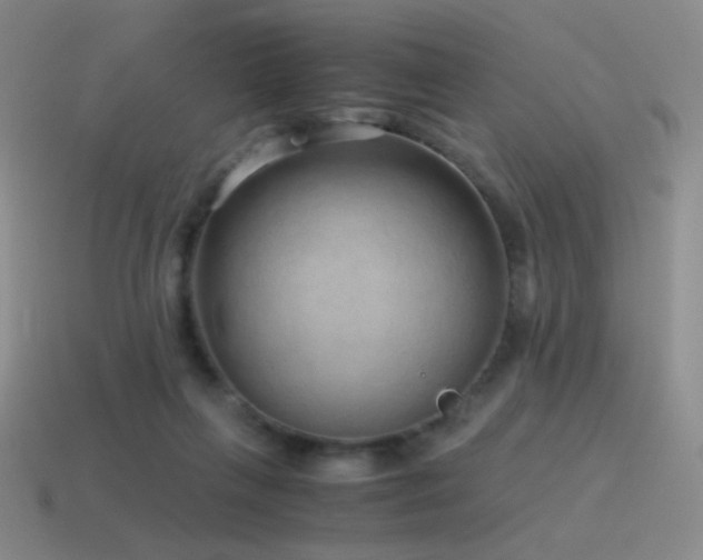 X0000115480263200911061223