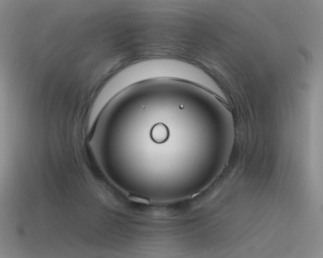 X0000115480264200911061223