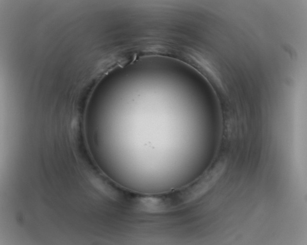 X0000115480265200911061223