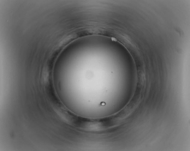 X0000115480266200911061223