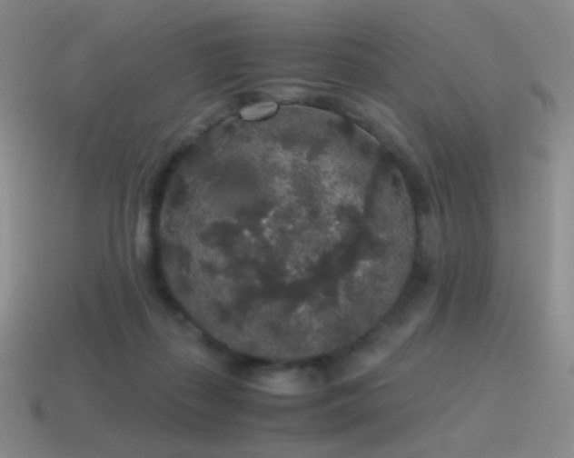 X0000115480267200911061223