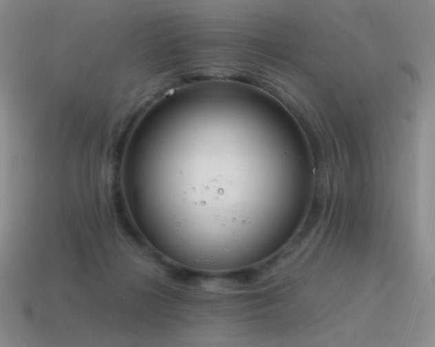 X0000115480268200911061223