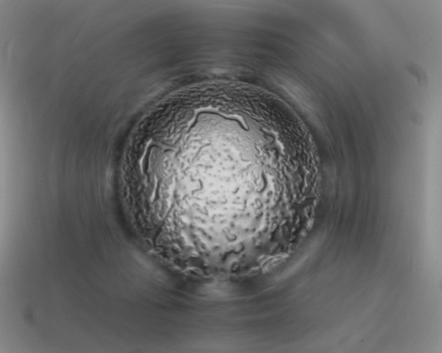 X0000115480269200911061223