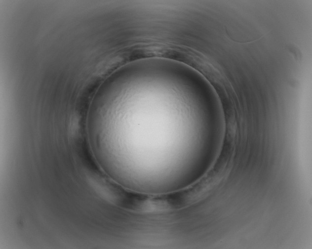 X0000115480270200911061223