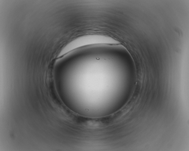 X0000115480272200911061223