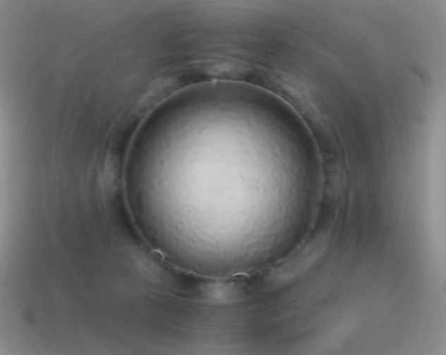 X0000115480273200911061223