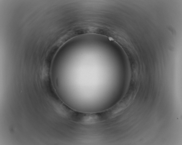 X0000115480274200911061223