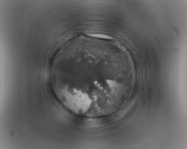 X0000115480277200911061223