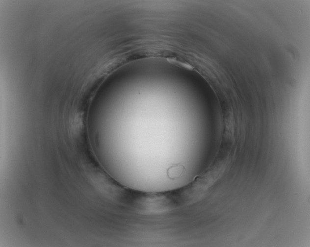 X0000115480278200911061223