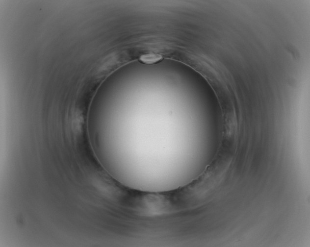 X0000115480279200911061223