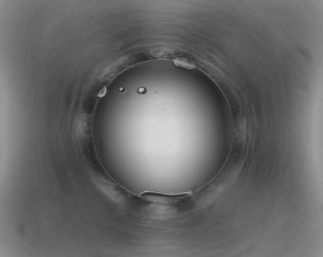 X0000115480280200911061223