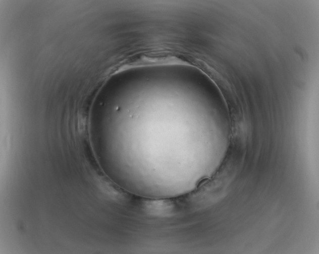 X0000115480281200911061223