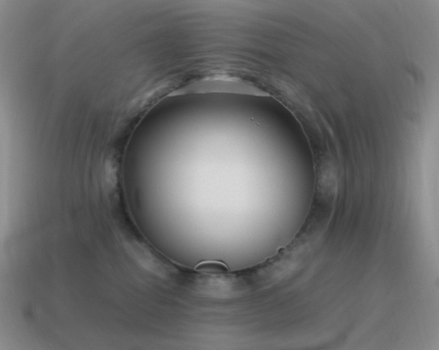 X0000115480282200911061223