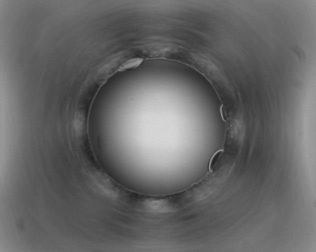 X0000115480283200911061223