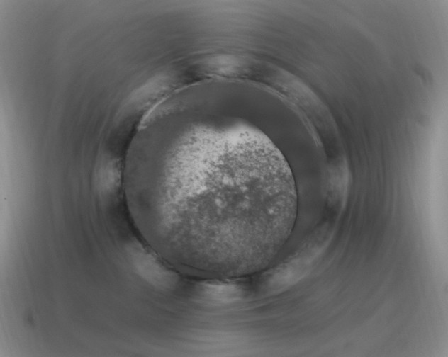 X0000115480284200911061223