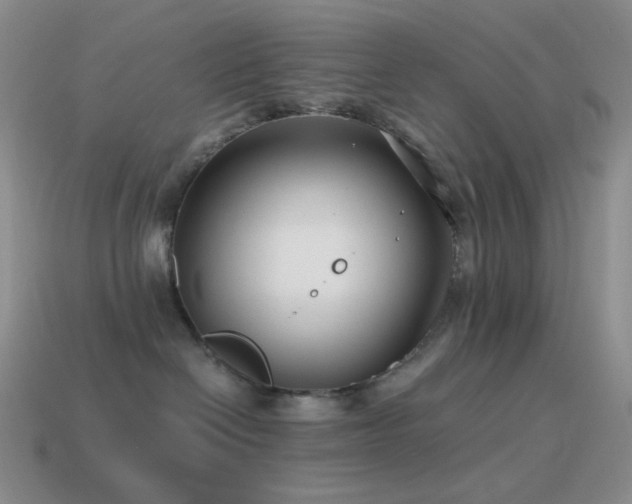 X0000115480286200911061223