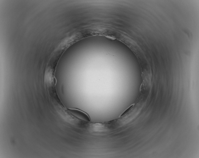 X0000115480287200911061223