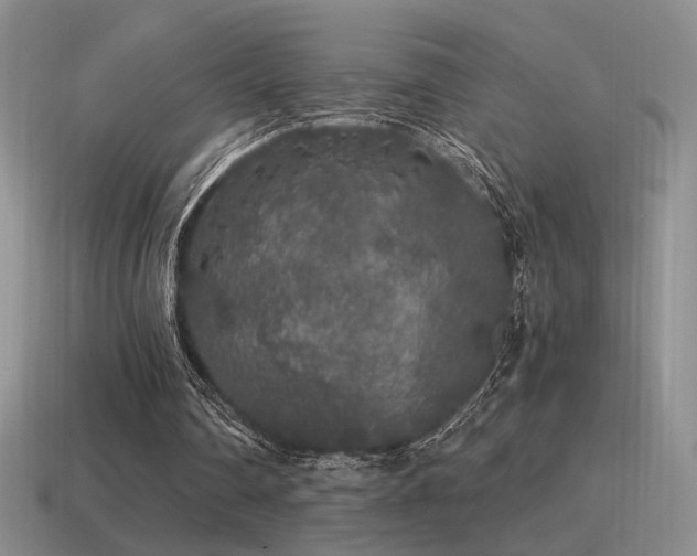 X0000115480290200911061223