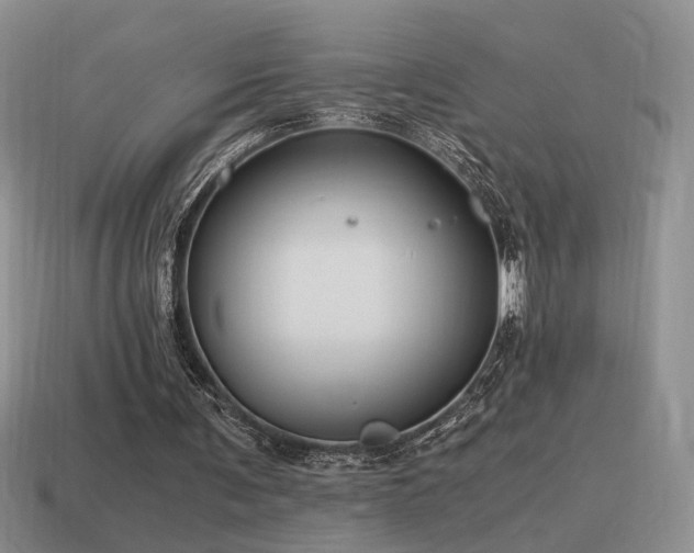 X0000115480291200911061223