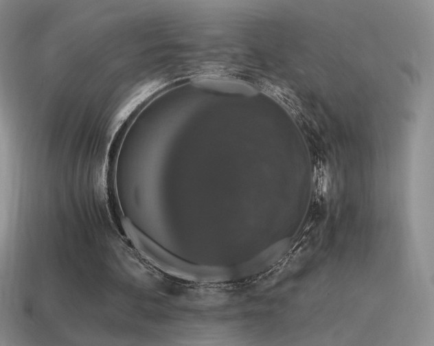 X0000115480292200911061223