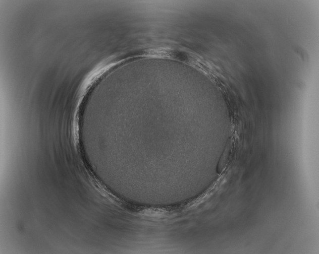 X0000115480294200911061223