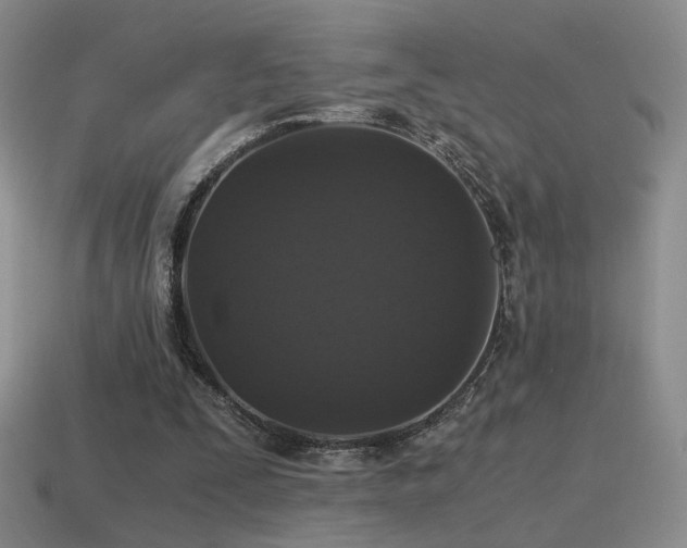 X0000115480295200911061223