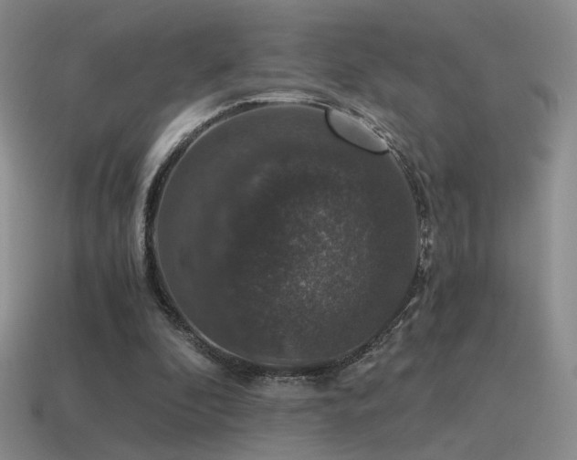 X0000115480296200911061223