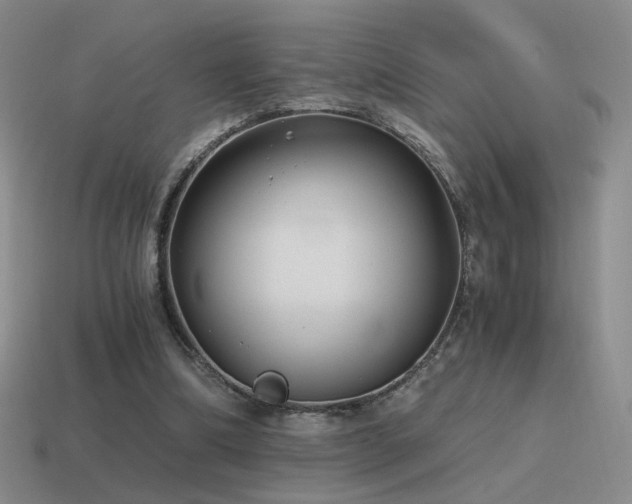 X0000115480298200911061223