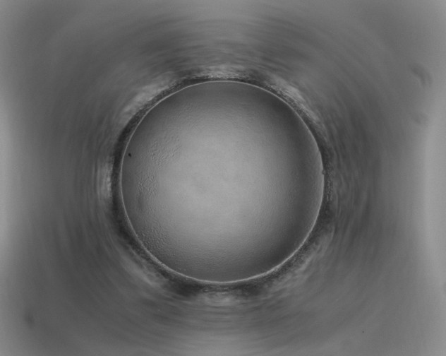 X0000115480299200911061223