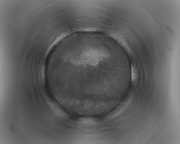 X0000115480300200911061223