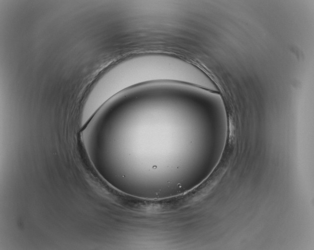 X0000115480301200911061222