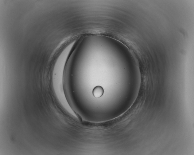 X0000115480304200911061222