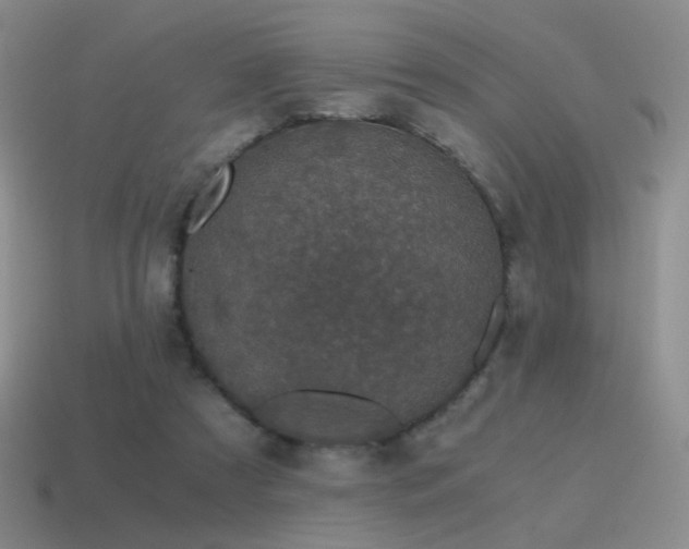 X0000115480305200911061222