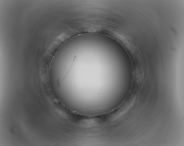 X0000115480307200911061222