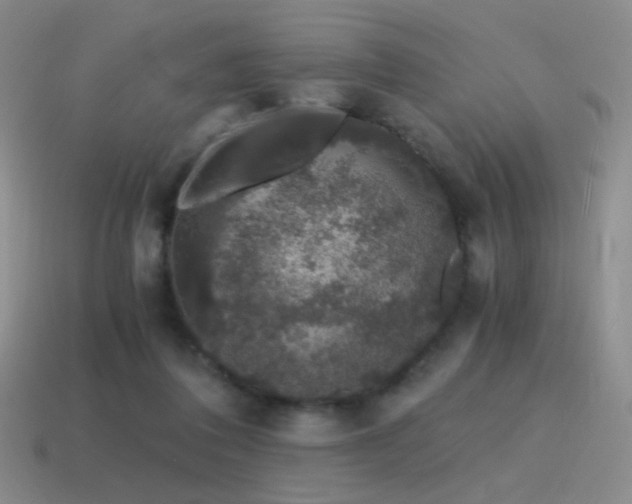 X0000115480308200911061222