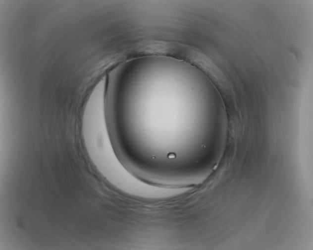 X0000115480309200911061222