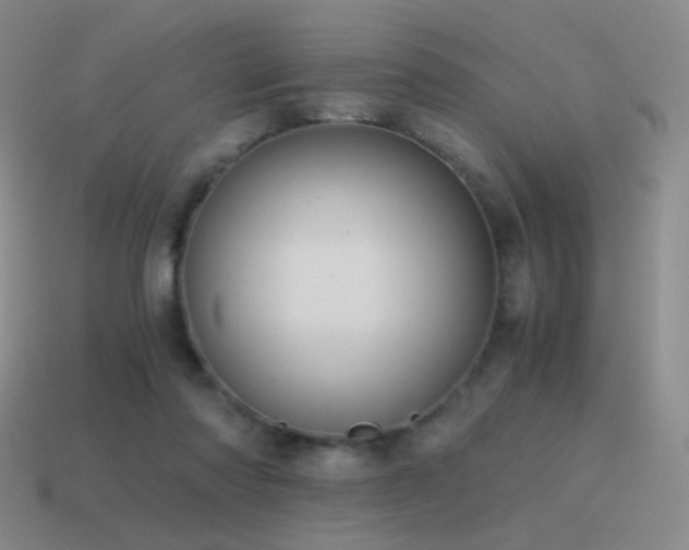 X0000115480310200911061222