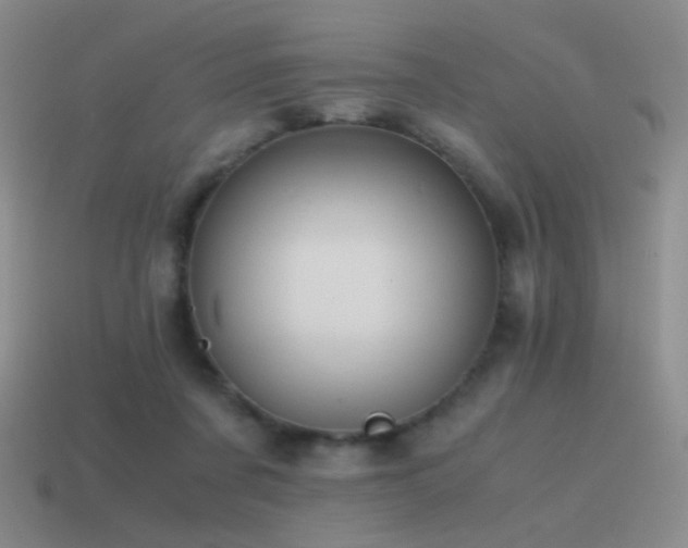 X0000115480311200911061222