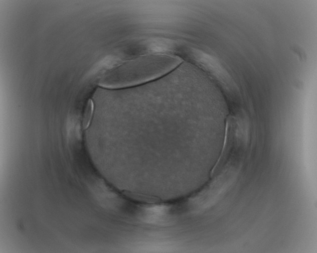 X0000115480313200911061222