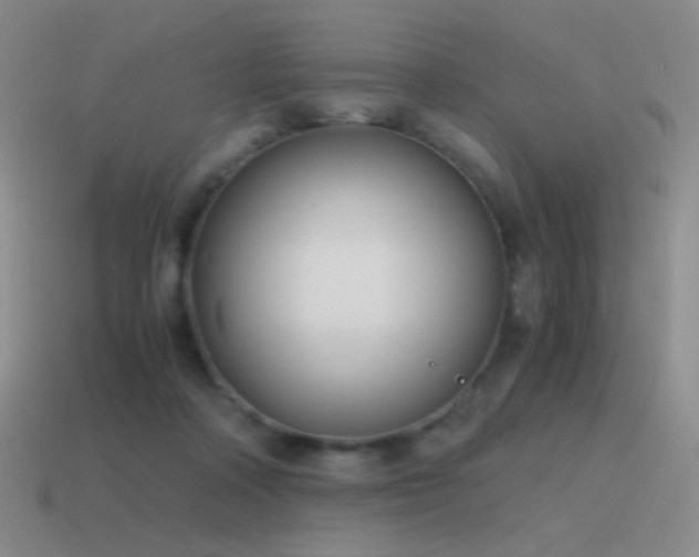 X0000115480314200911061222