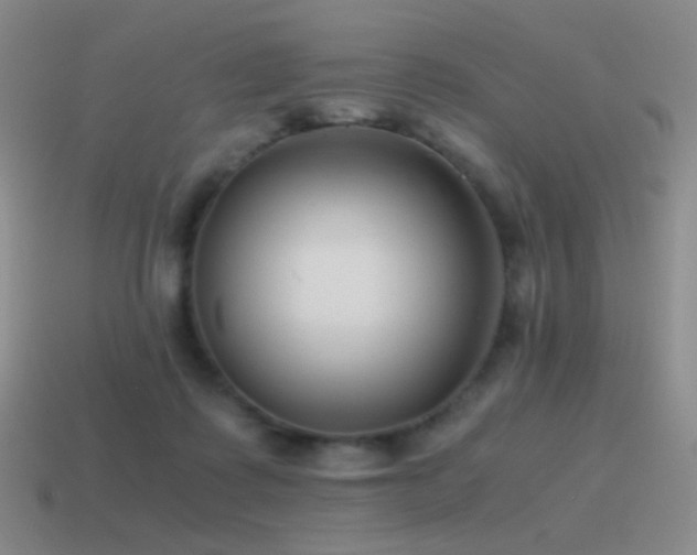 X0000115480315200911061222