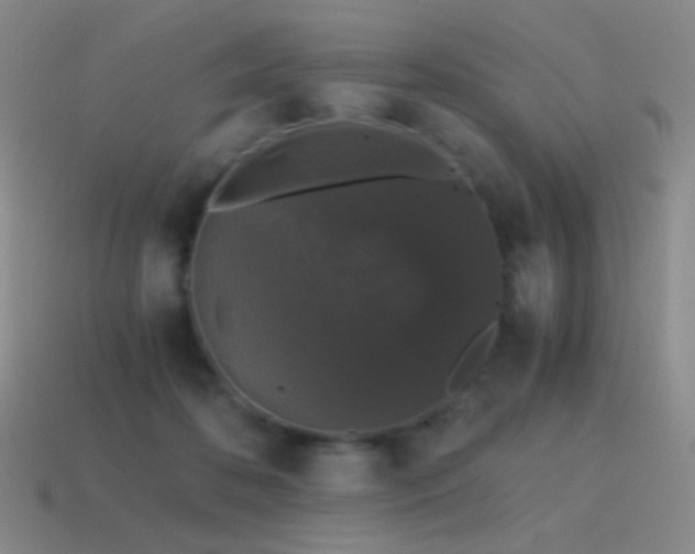 X0000115480316200911061222