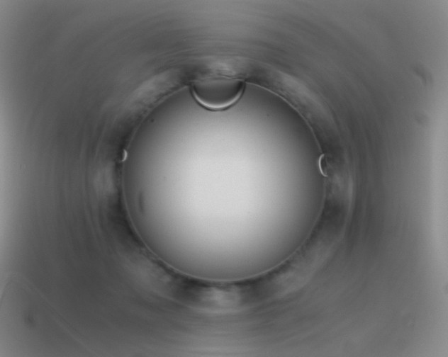 X0000115480317200911061222