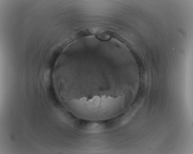 X0000115480319200911061222