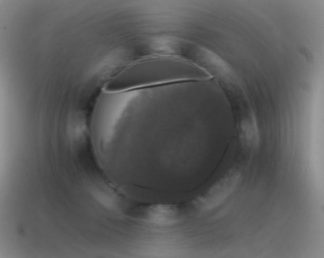 X0000115480320200911061222