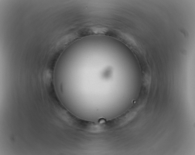 X0000115480321200911061222